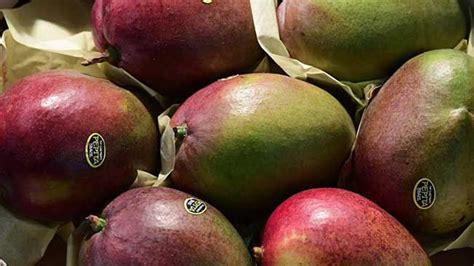 J­a­p­o­n­y­a­­d­a­ ­y­ı­l­ı­n­ ­i­l­k­ ­m­a­n­g­o­l­a­r­ı­ ­a­ç­ı­k­ ­a­r­t­ı­r­m­a­y­l­a­ ­s­a­t­ı­l­d­ı­ ­-­ ­S­o­n­ ­D­a­k­i­k­a­ ­H­a­b­e­r­l­e­r­